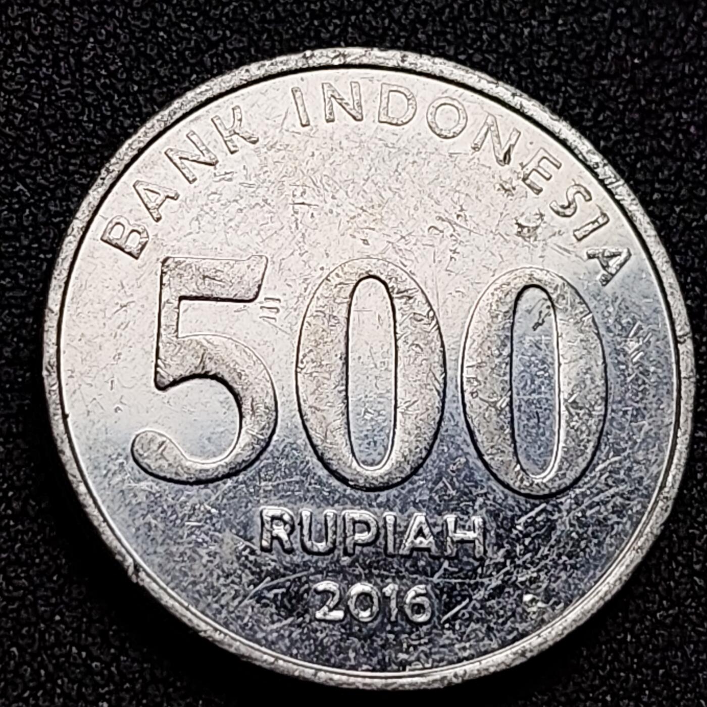 泉币菌-第135场-精品福利场 。