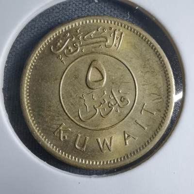 沼泽如烟--第909场 - 科威特