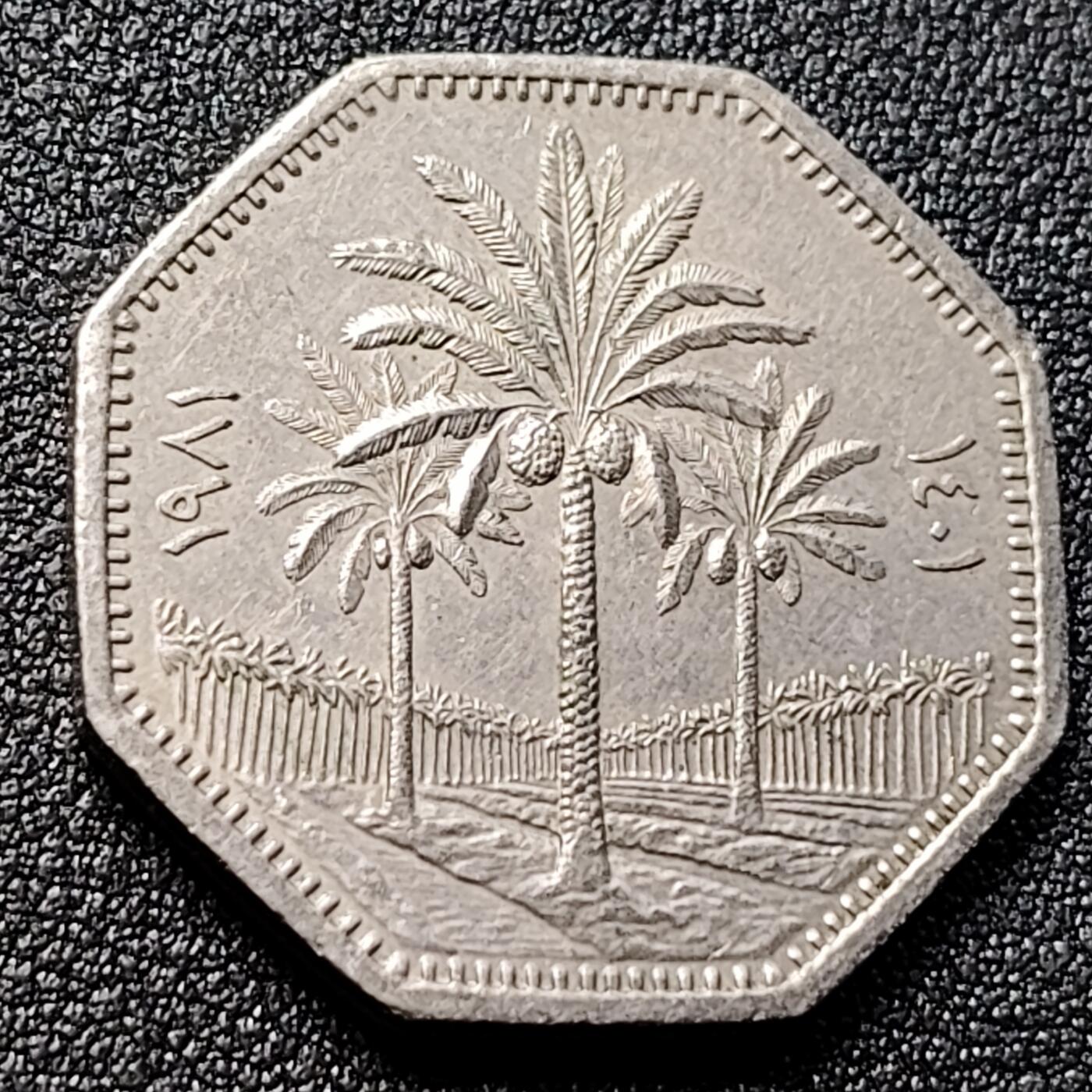 泉币菌-第135场-精品福利场 。