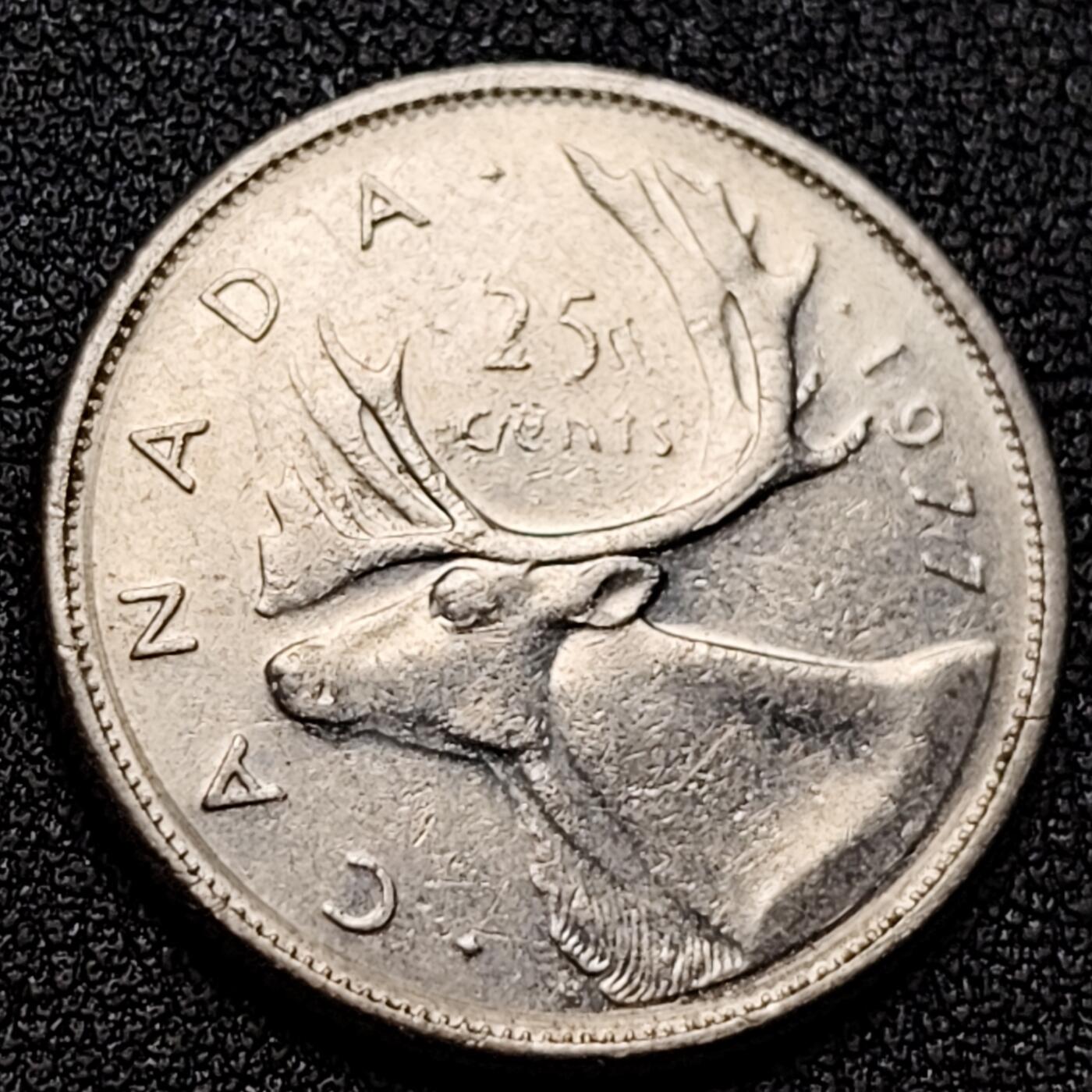 泉币菌-第135场-精品福利场 。