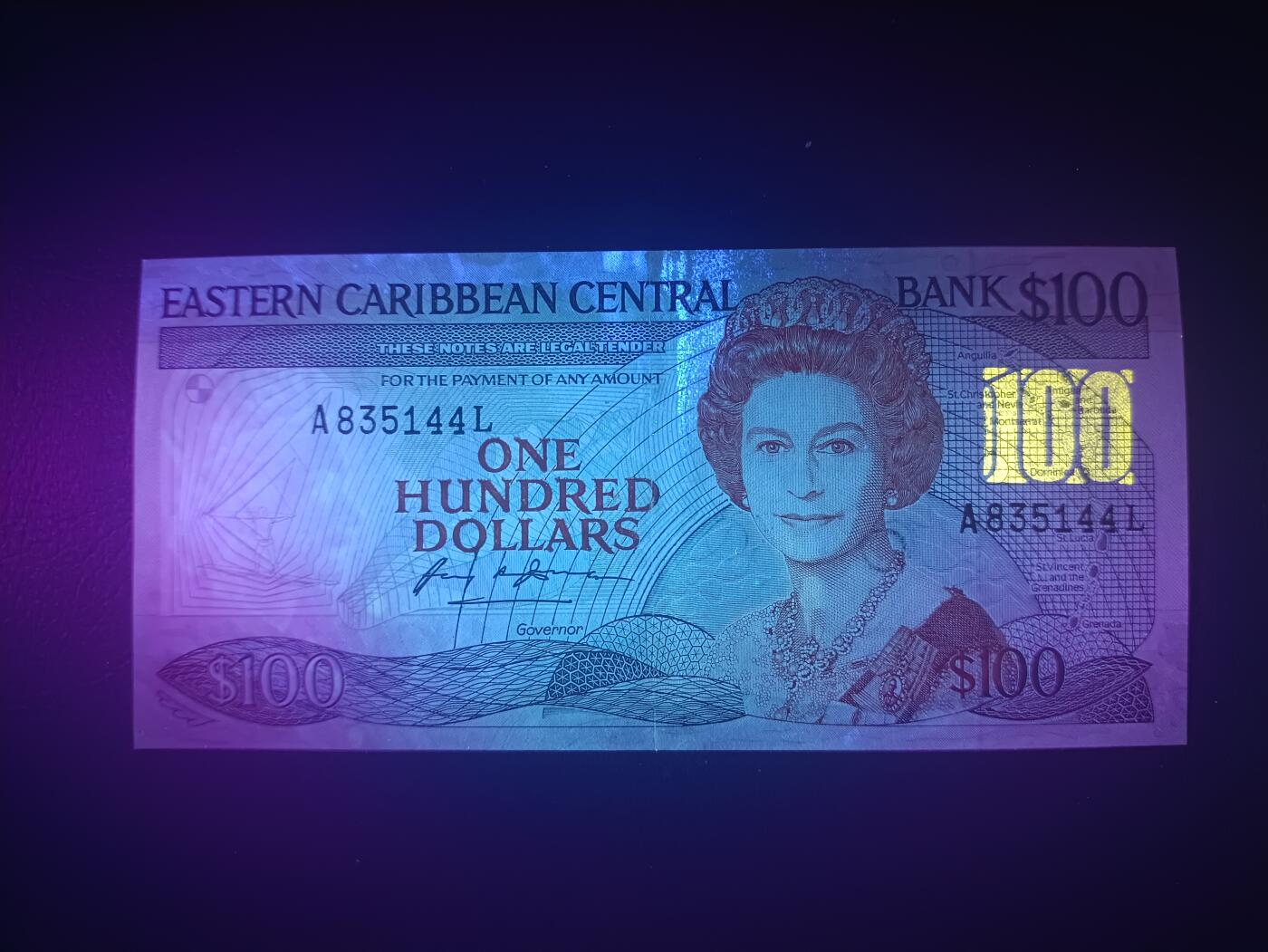 2025十一月第五期，总第203期 东加勒比共同体1985版100元AUNC圣卢西亚印刷，中年女王和海滩椰林，少见最高面值