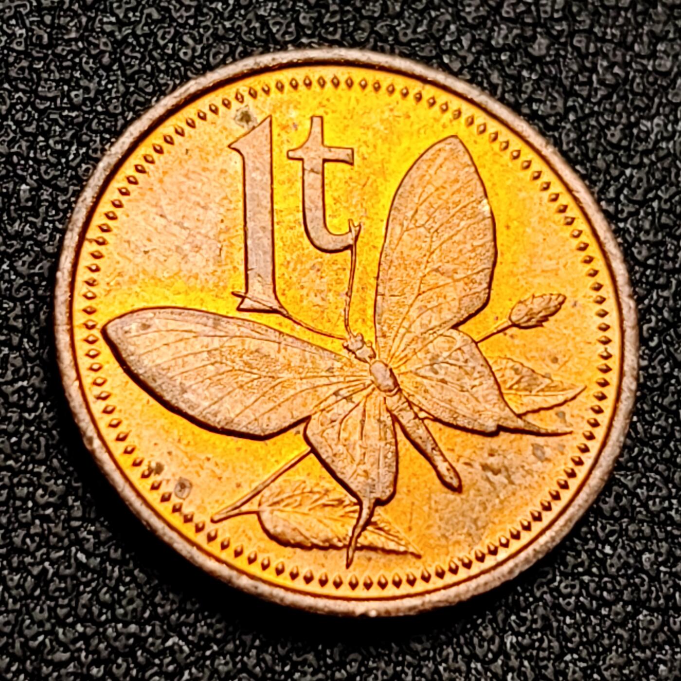 泉币菌-第133场-精品福利场 。