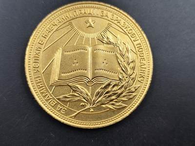 11月18日奖章钱币专场（明天晚上继续更新，太累了今天） - 苏联乌克兰金级学霸纪念章