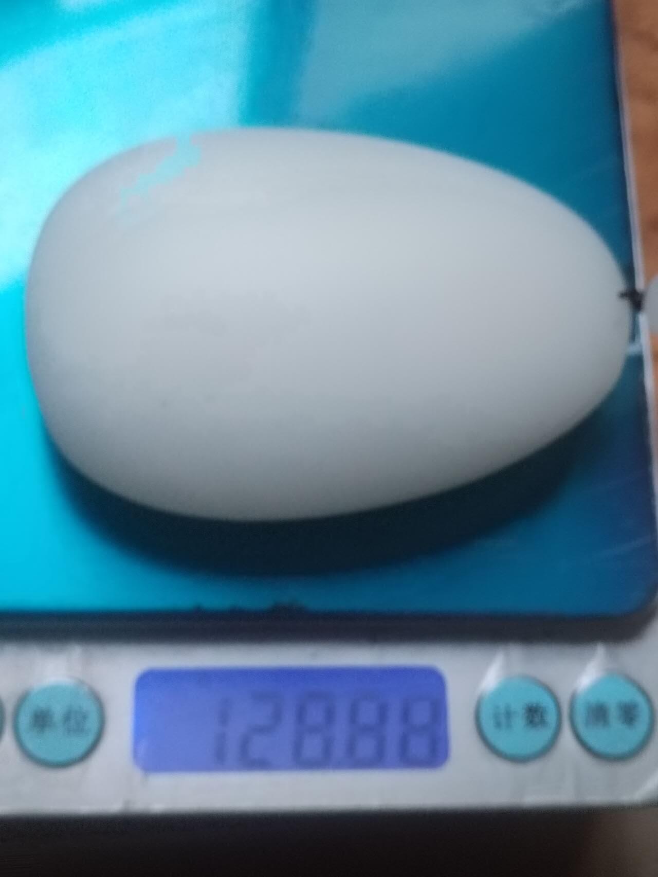 玉石 手镯 手串 和田白玉手把件。