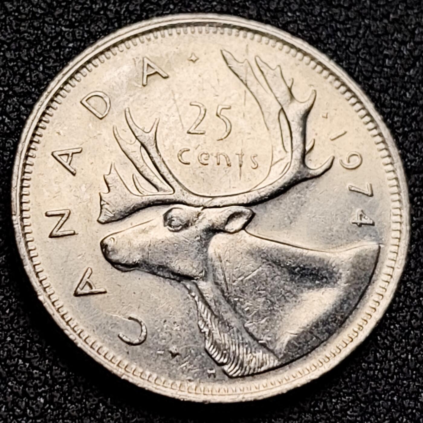 泉币菌-第135场-精品福利场 。