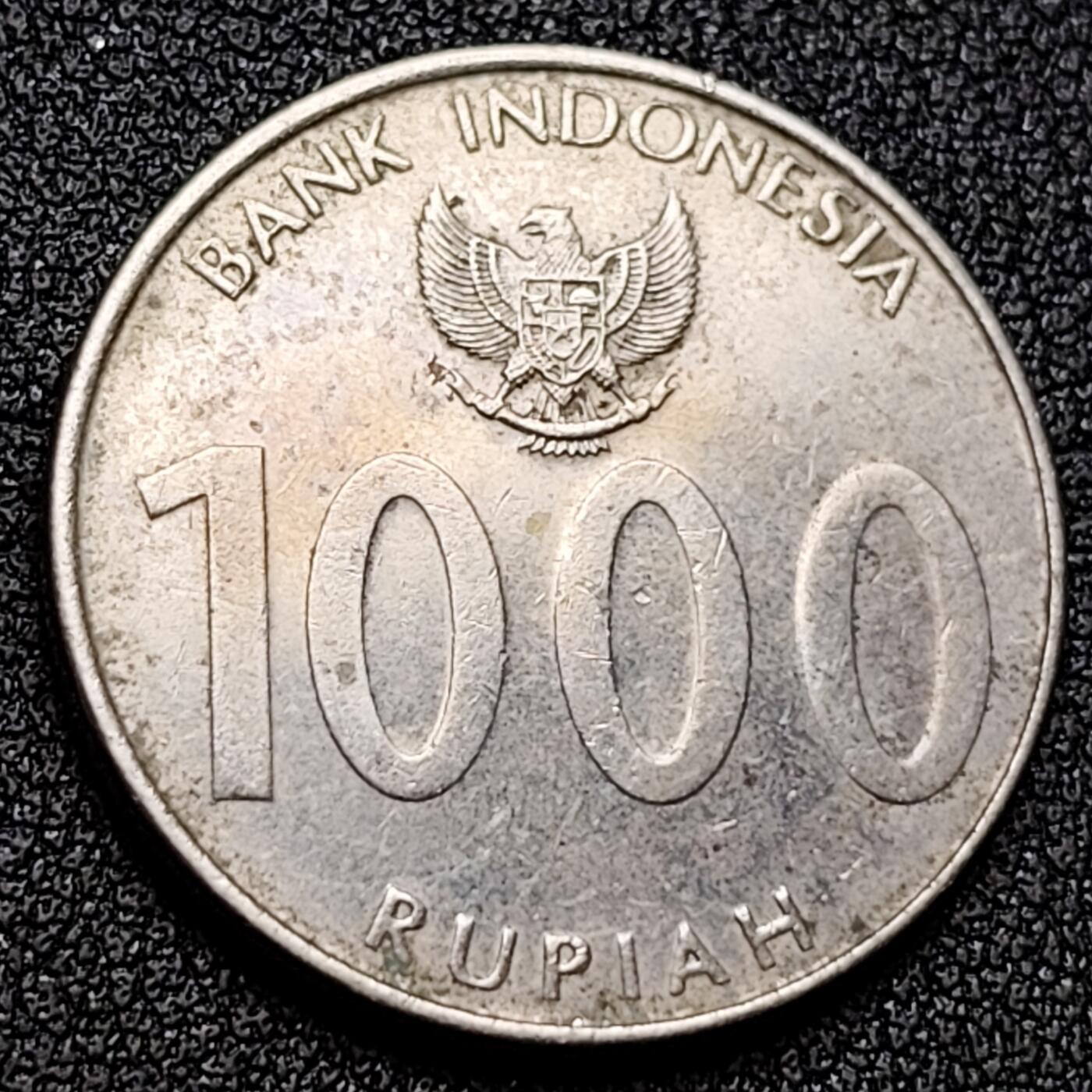 泉币菌-第135场-精品福利场 。