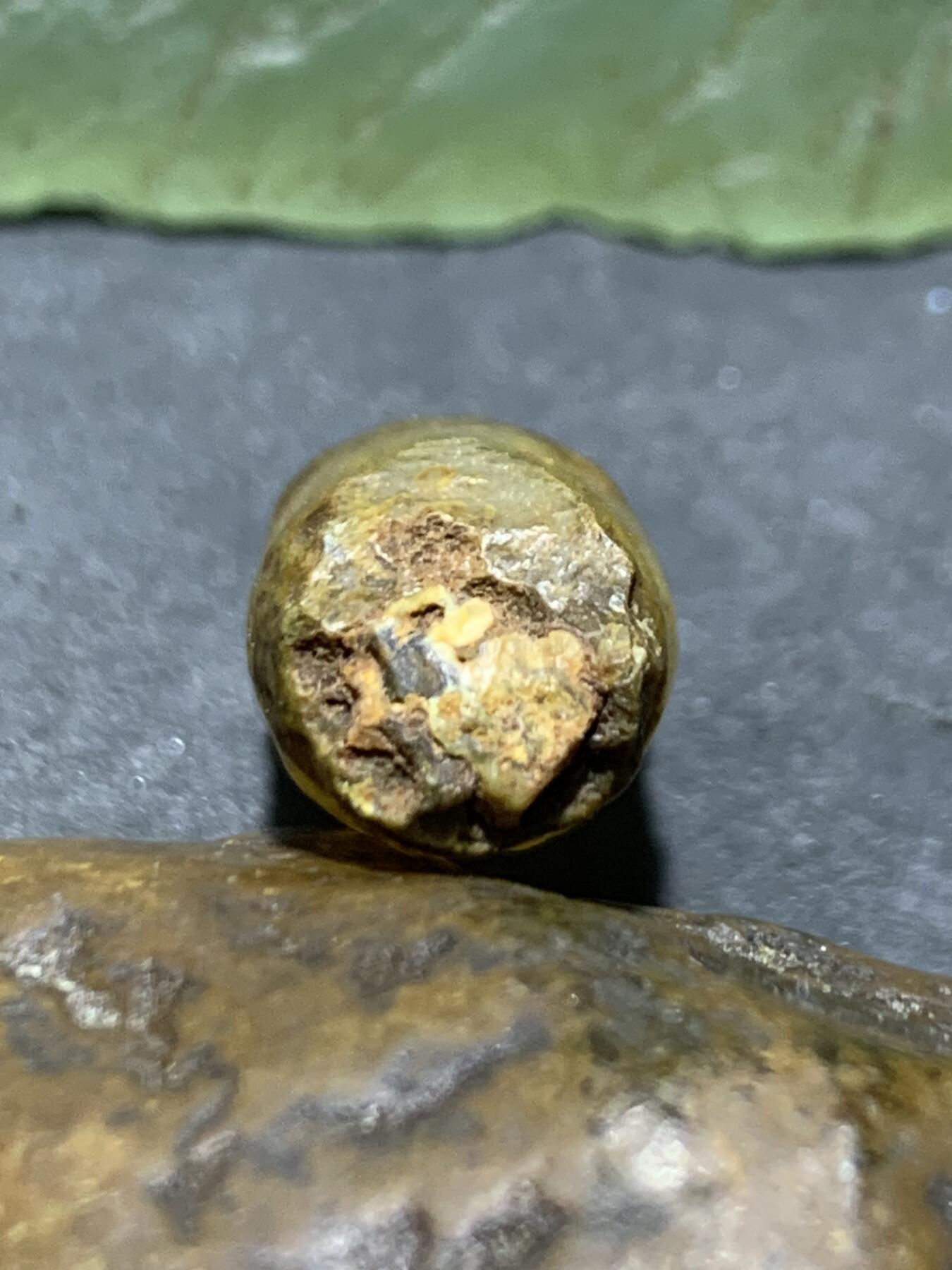 精美地表原皮阿拉善玛瑙糖心料管状筋脉石原石一颗，