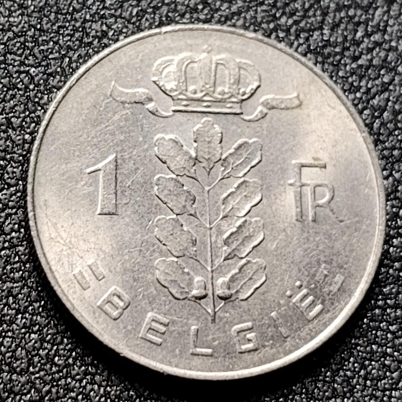 泉币菌-第135场-精品福利场 。