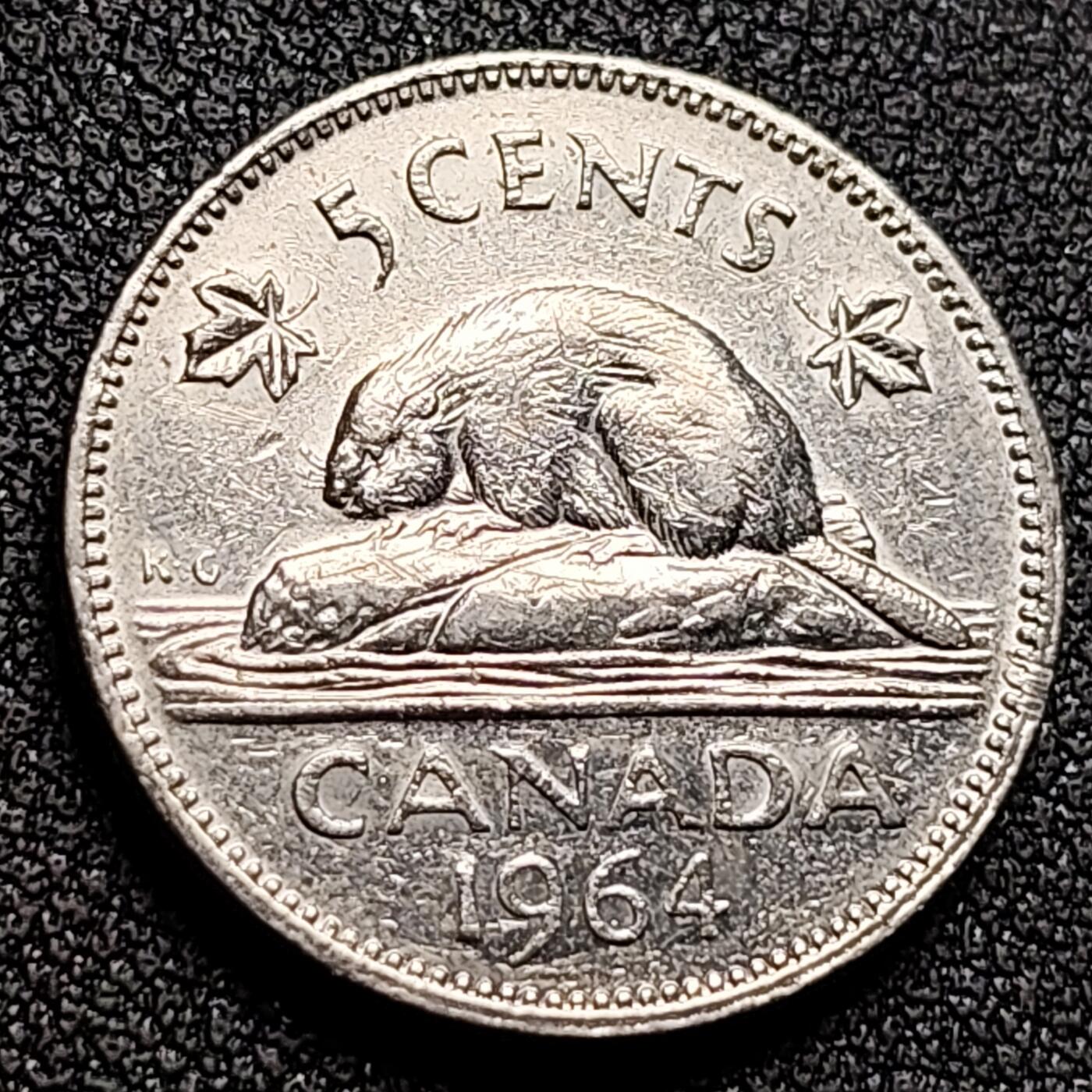 泉币菌-第135场-精品福利场 。