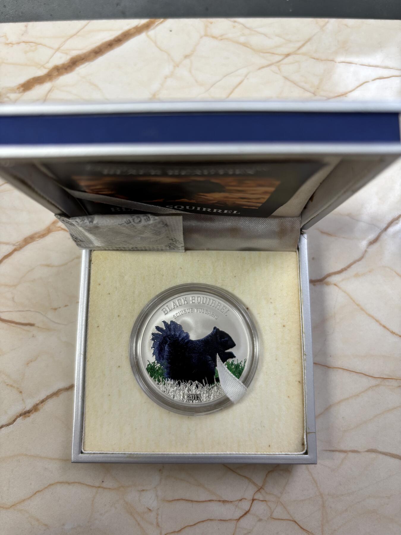 第182期拍卖 库克2013年珍稀动物黑松鼠彩色精制银币，925银，20克，发行999枚