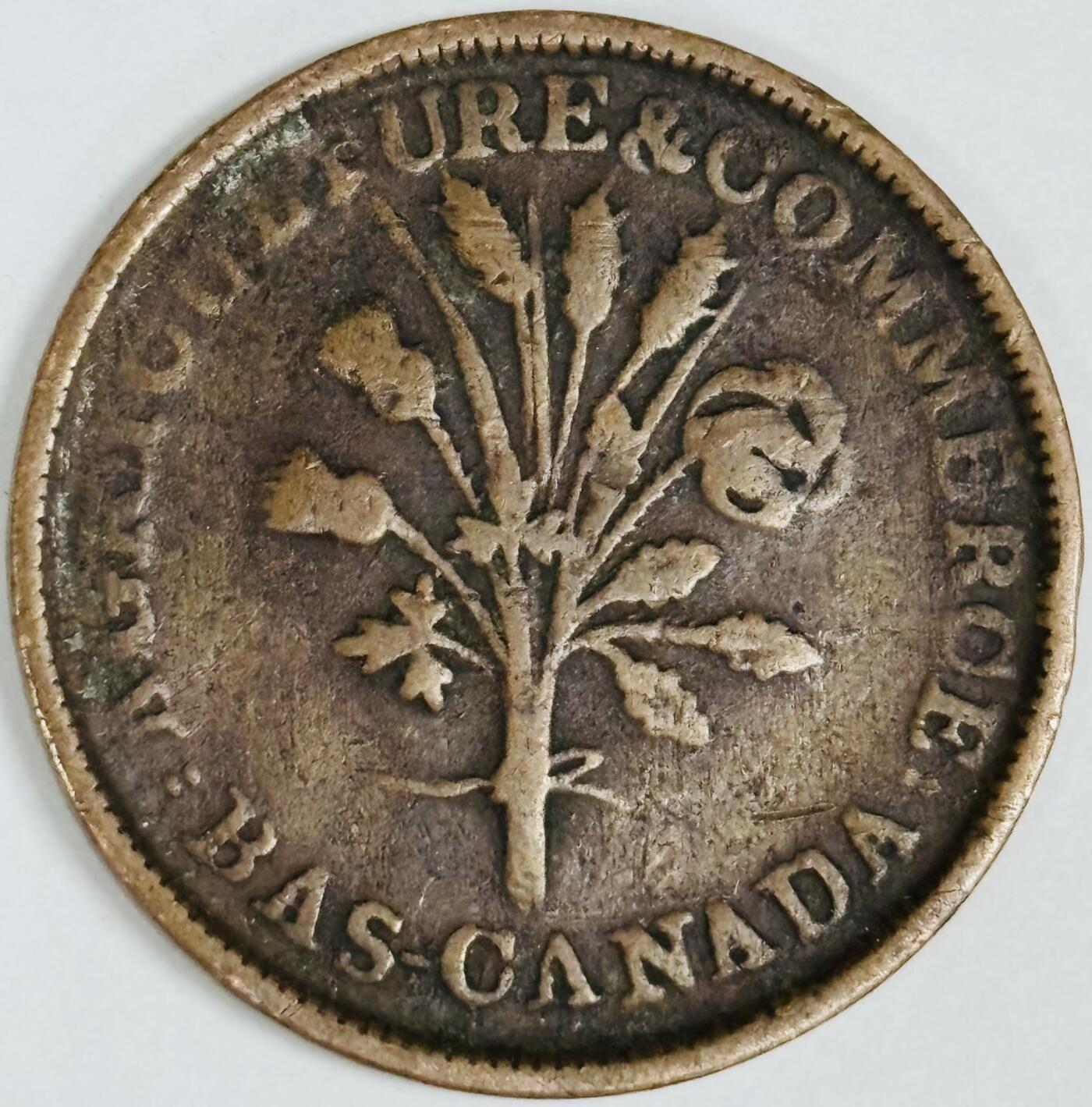 文馨钱币收藏第 282 场，【 长期接收代拍品】，加拿大老铜代用币，银币，德三系列场 稀少极美品下加拿大蒙特利尔无年份花束1苏(半便士)铜币代币TOKEN