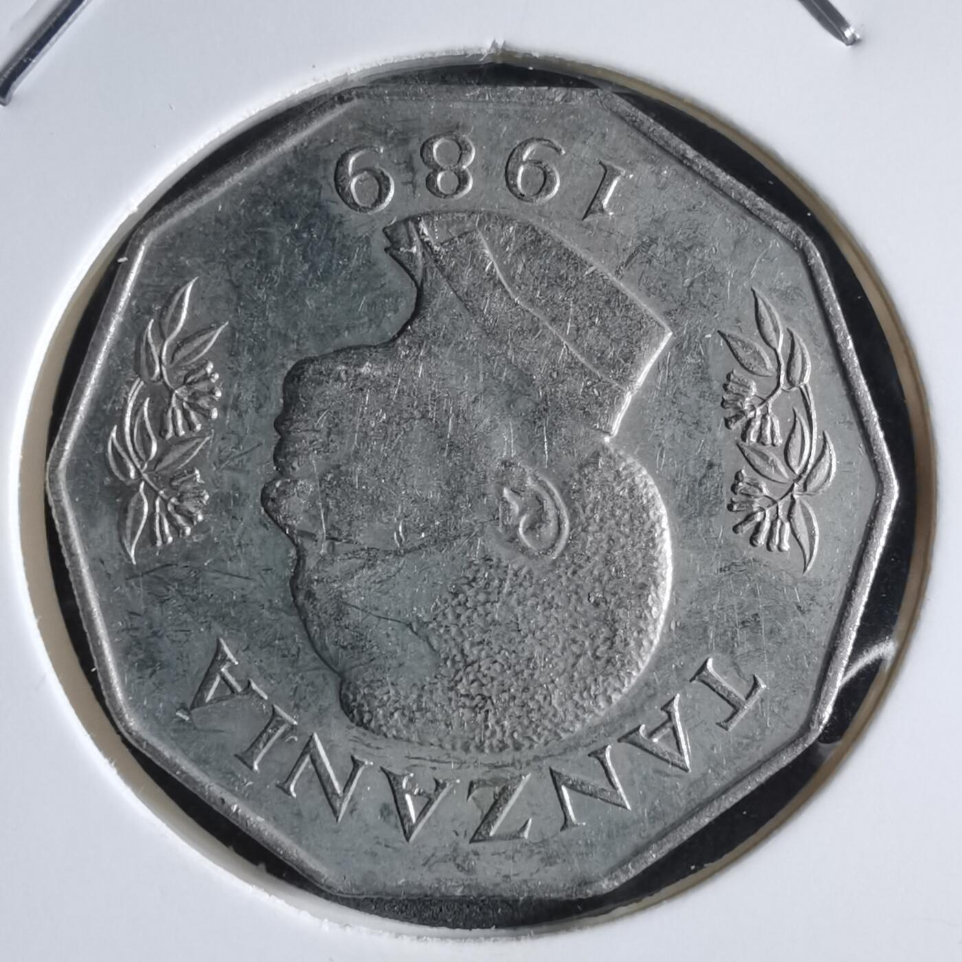 沼泽如烟--第910场