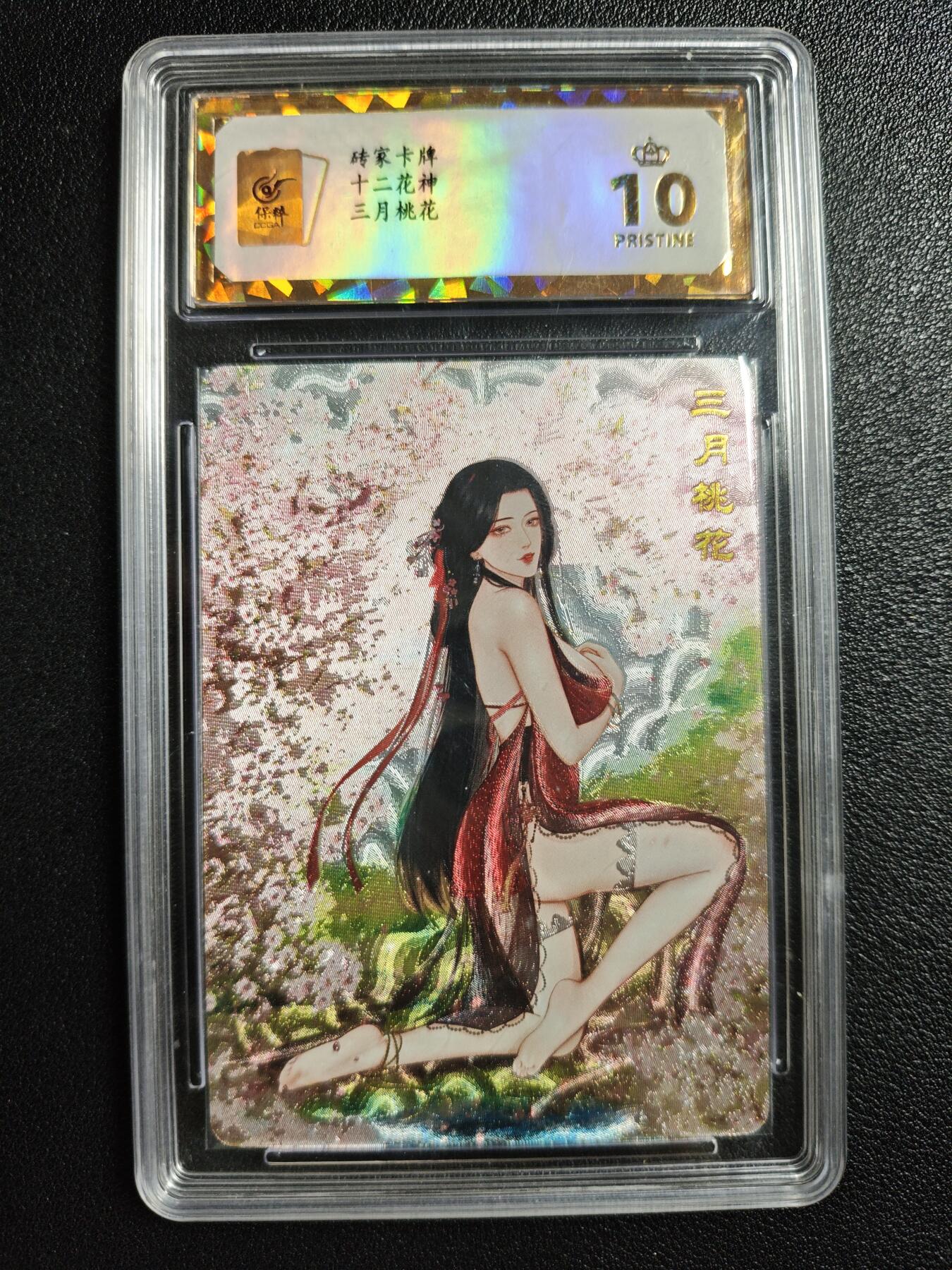 天玑星卡拍第142期《11.25周二截拍艺气风发》持续收拍收评中 满赠卡需备注