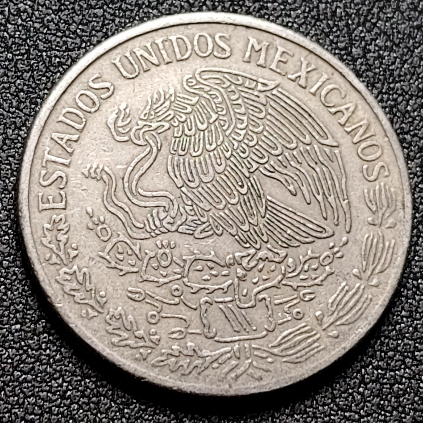 泉币菌-第134场-精品福利场 。