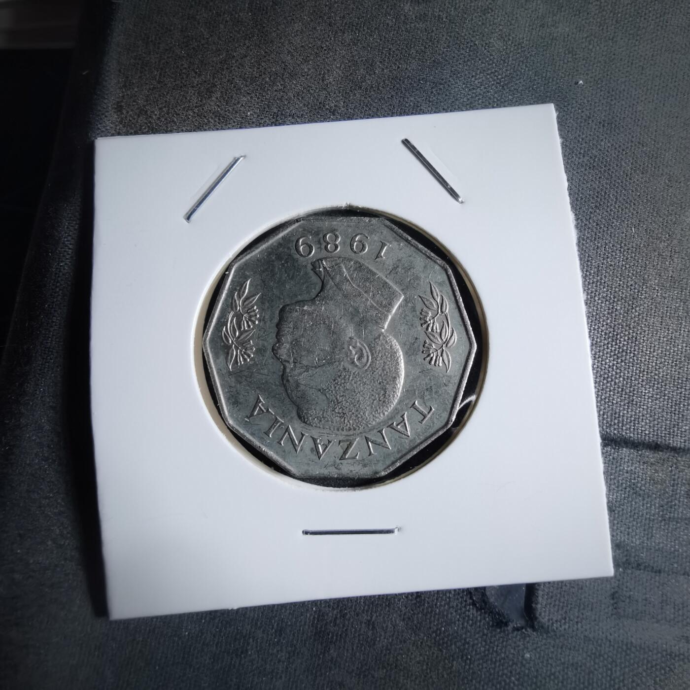 沼泽如烟--第910场