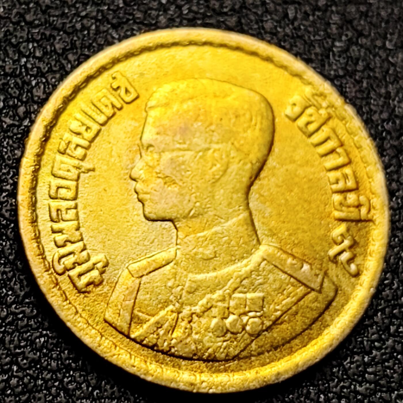 泉币菌-第135场-精品福利场 。