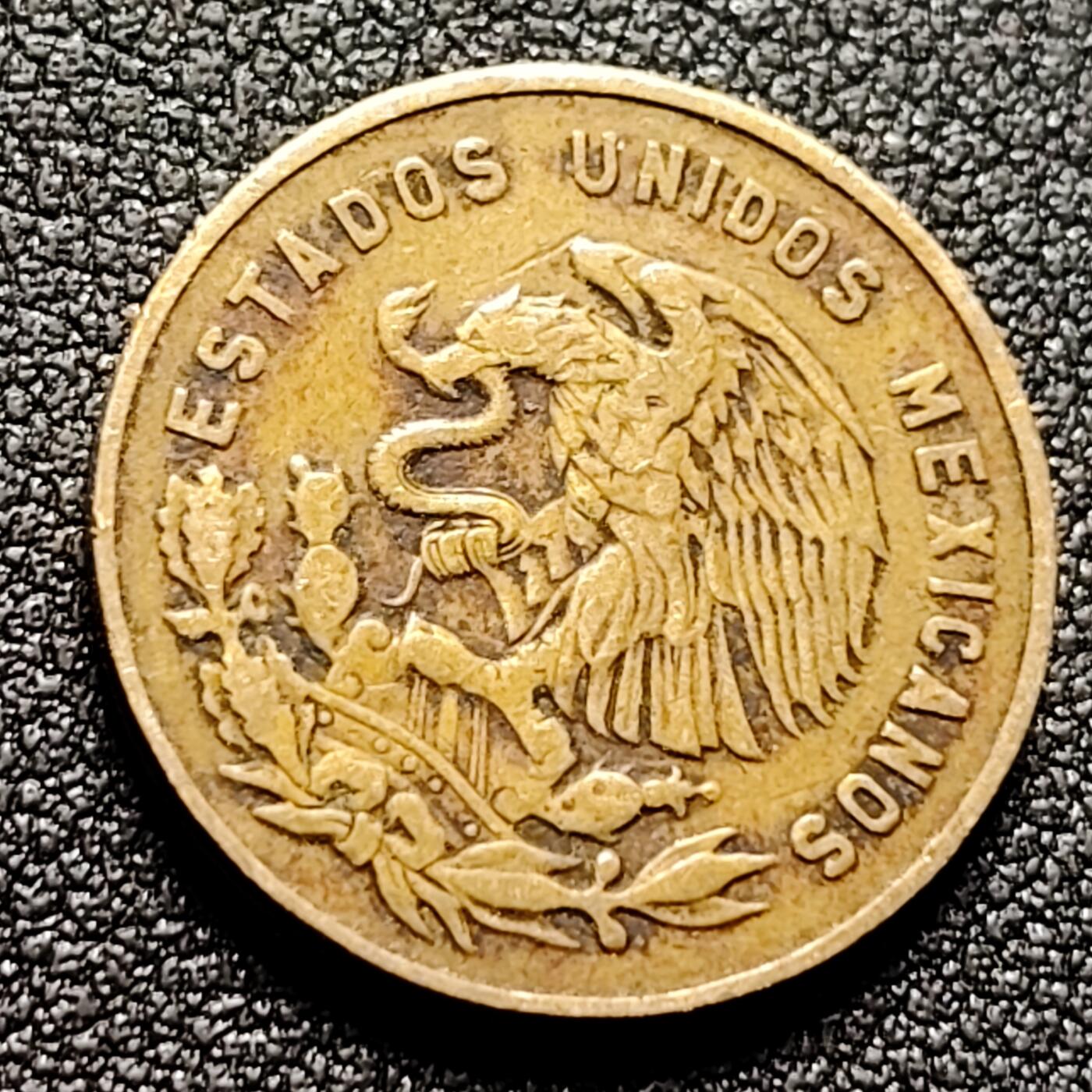 泉币菌-第134场-精品福利场 。