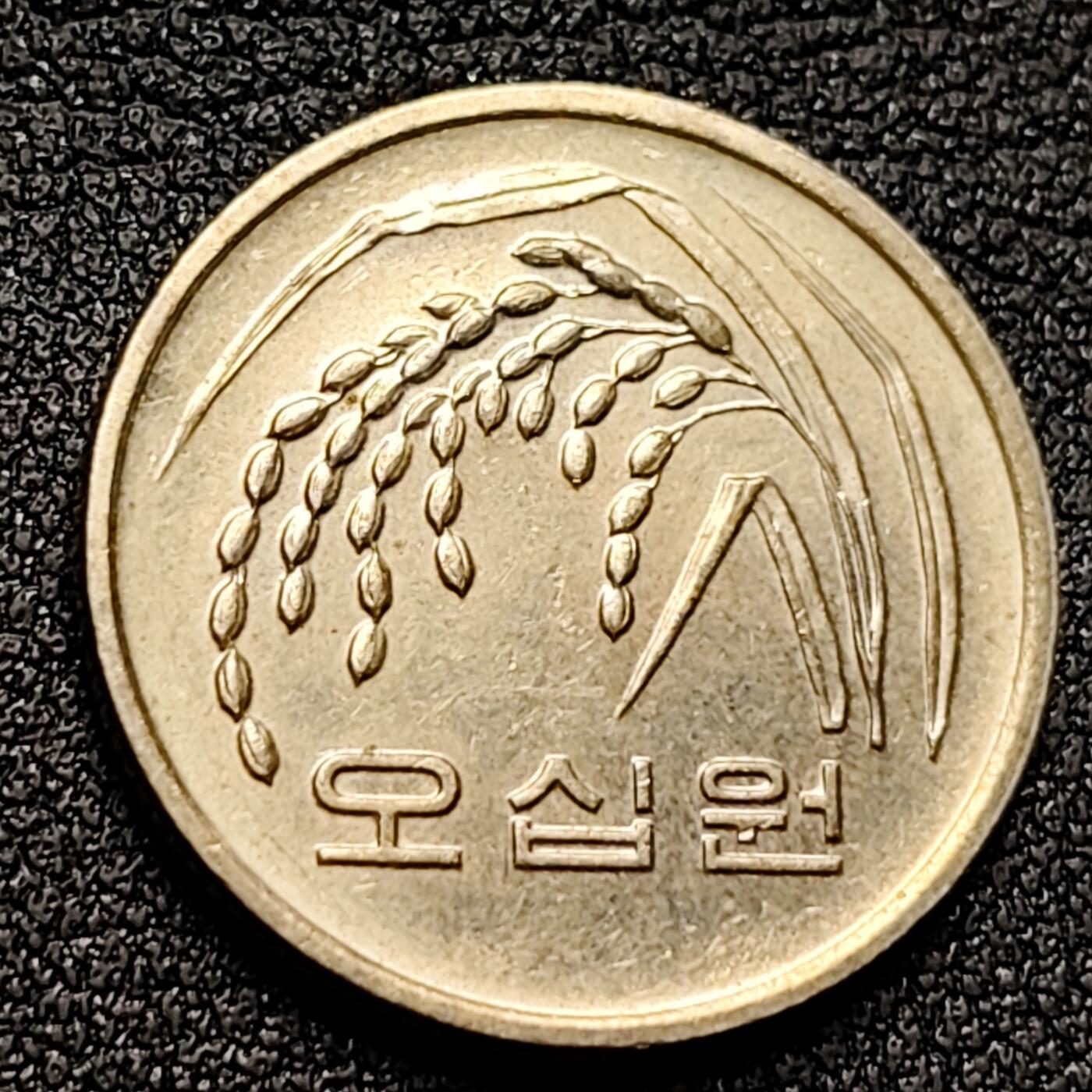 泉币菌-第135场-精品福利场 。