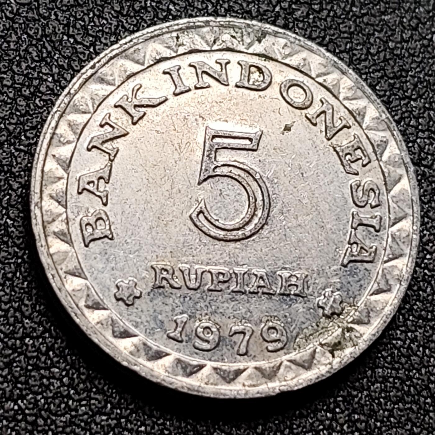 泉币菌-第135场-精品福利场 。