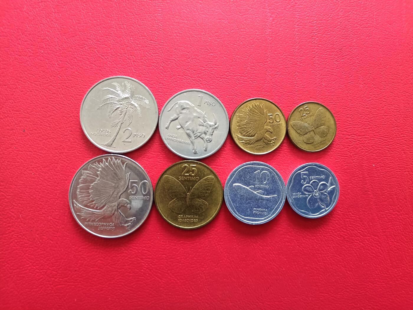 【云涧收藏】第八十场