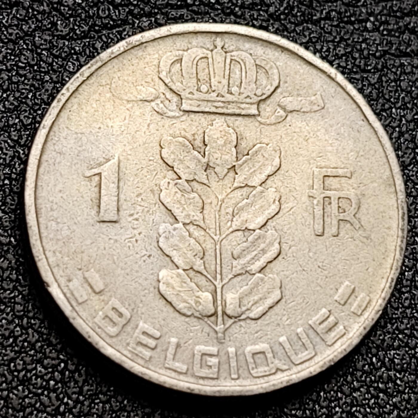 泉币菌-第135场-精品福利场 。