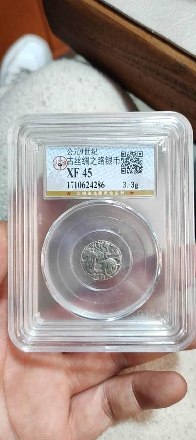 图南收藏 - 丝路银币