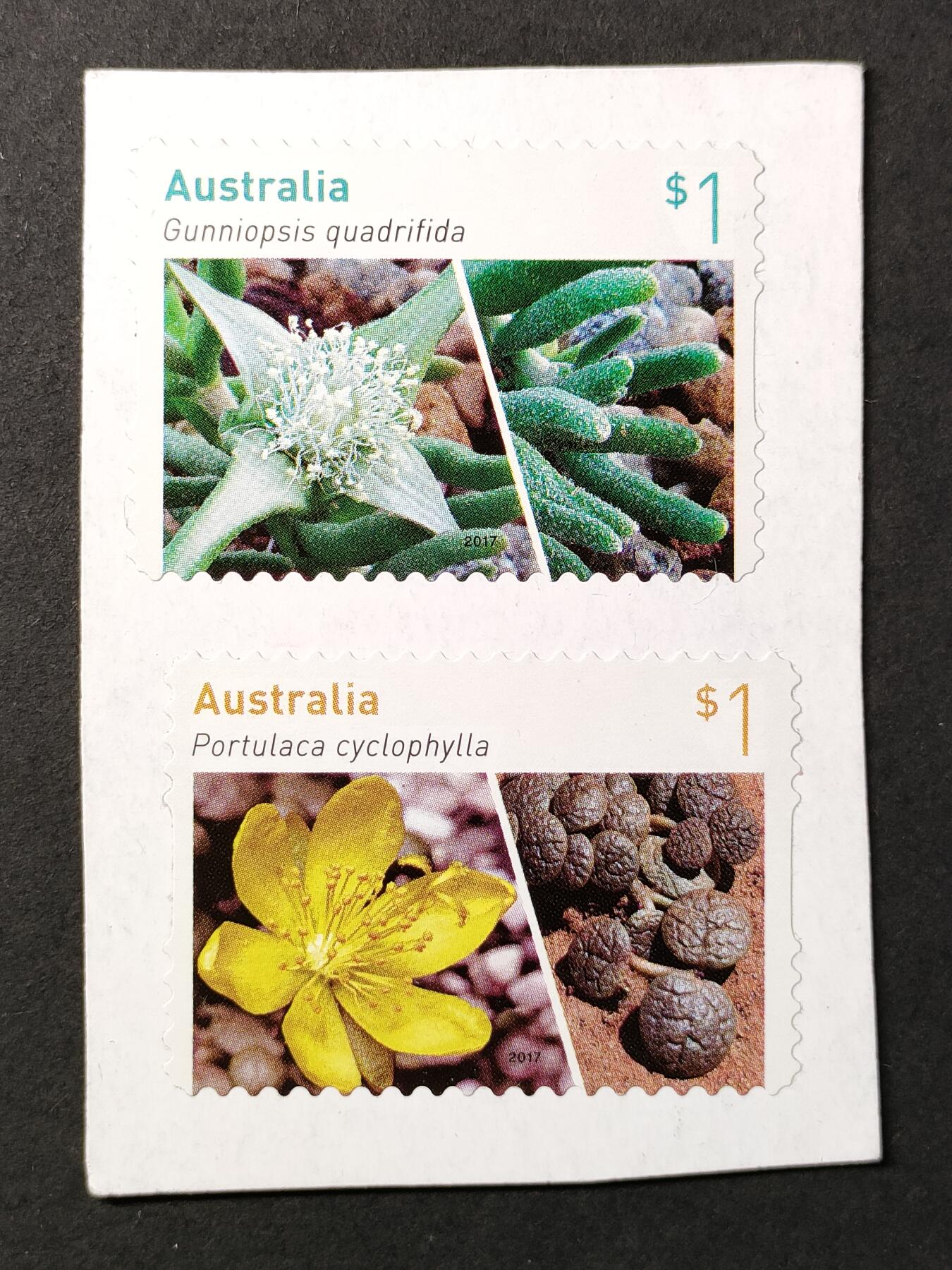 嘉禾收藏    【第386期】            无佣金、可寄存、满30元包邮 澳大利亚邮票，2017年多肉植物不干胶邮票