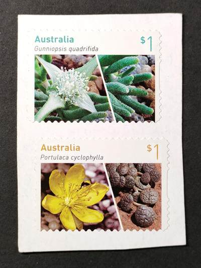 嘉禾收藏    【第386期】            无佣金、可寄存、满30元包邮 - 澳大利亚邮票，2017年多肉植物不干胶邮票