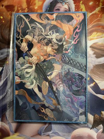 欢迎送拍、零成本上架，释放现金流，合理分配上拍卡品 - 【亚克力面色纸】闹海荟