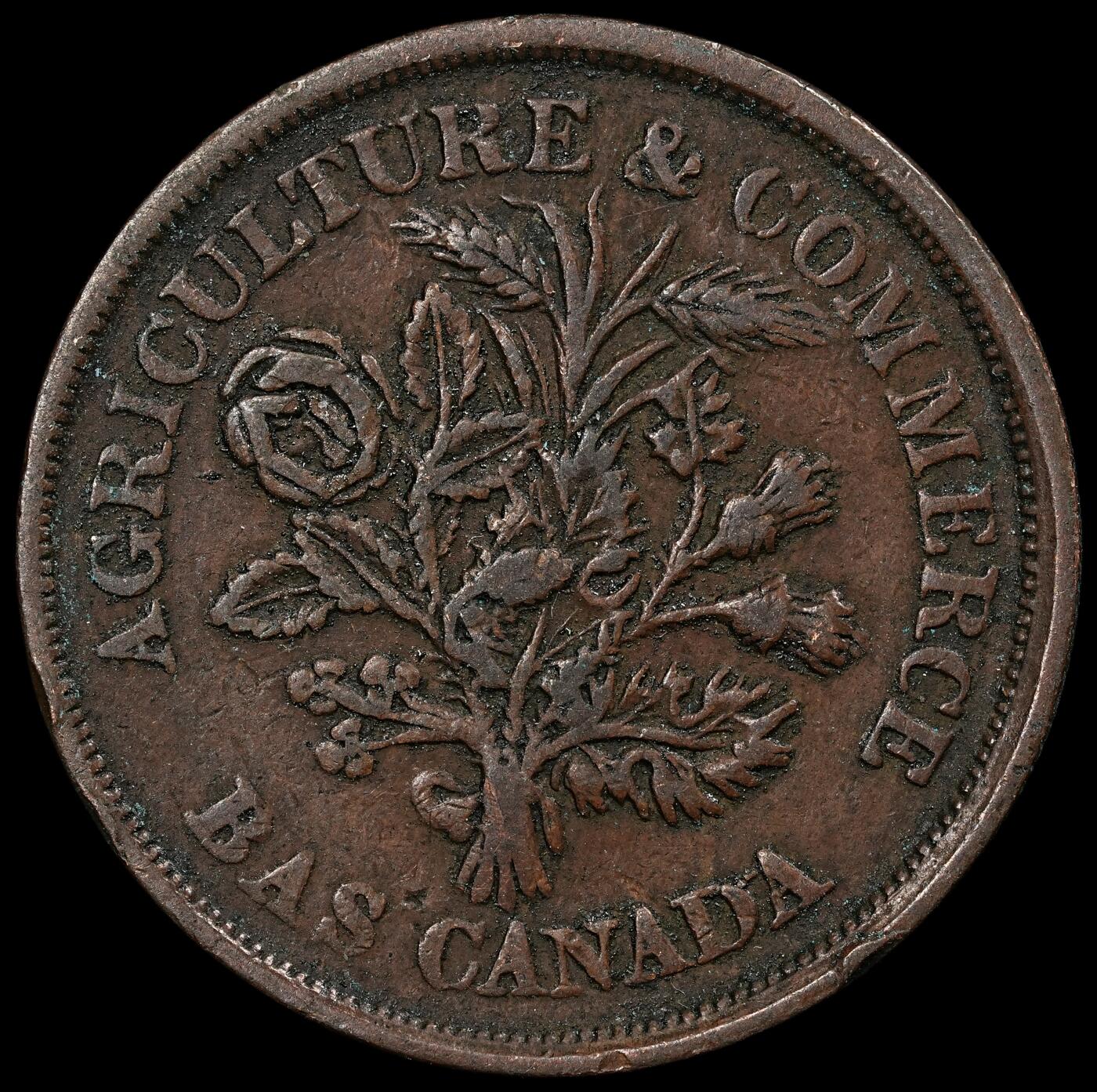 修遠堂世界钱币第九十四期 1838年加拿大蒙特利尔1 SOU代用币