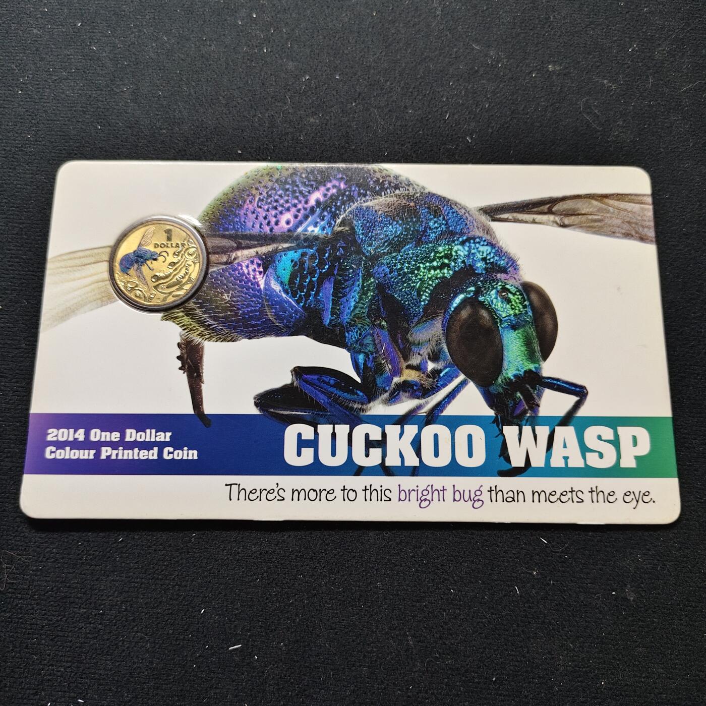 【全场包邮】纯粹捡漏拍480场（免费代拍第17场） 澳大利亚2014年1元彩色昆虫系列杜鹃黄蜂官方卡装彩色纪念币
