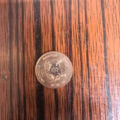 泡泡币外币第三十二场可代拍15038385335微信 - 原光硬币。