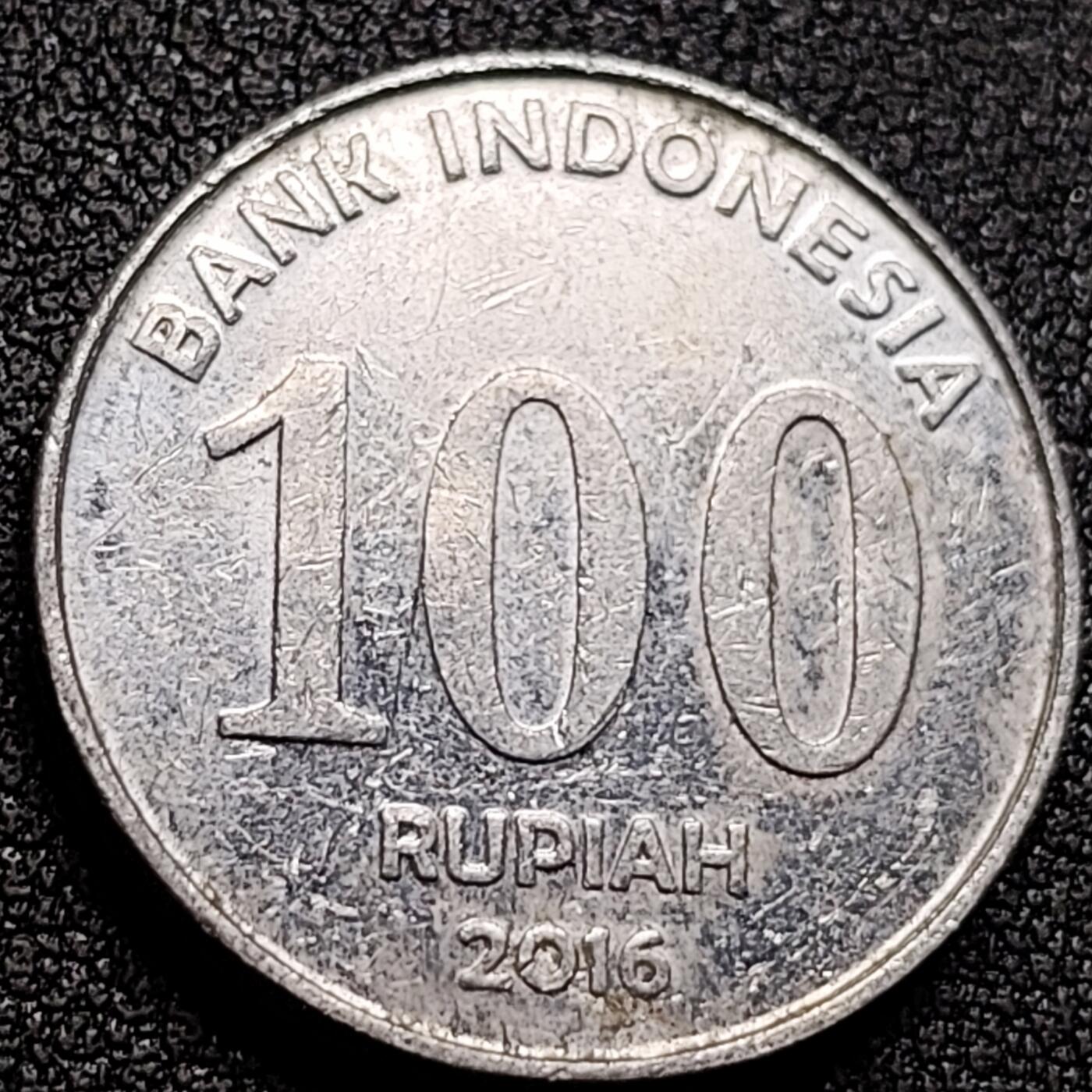 泉币菌-第135场-精品福利场 。