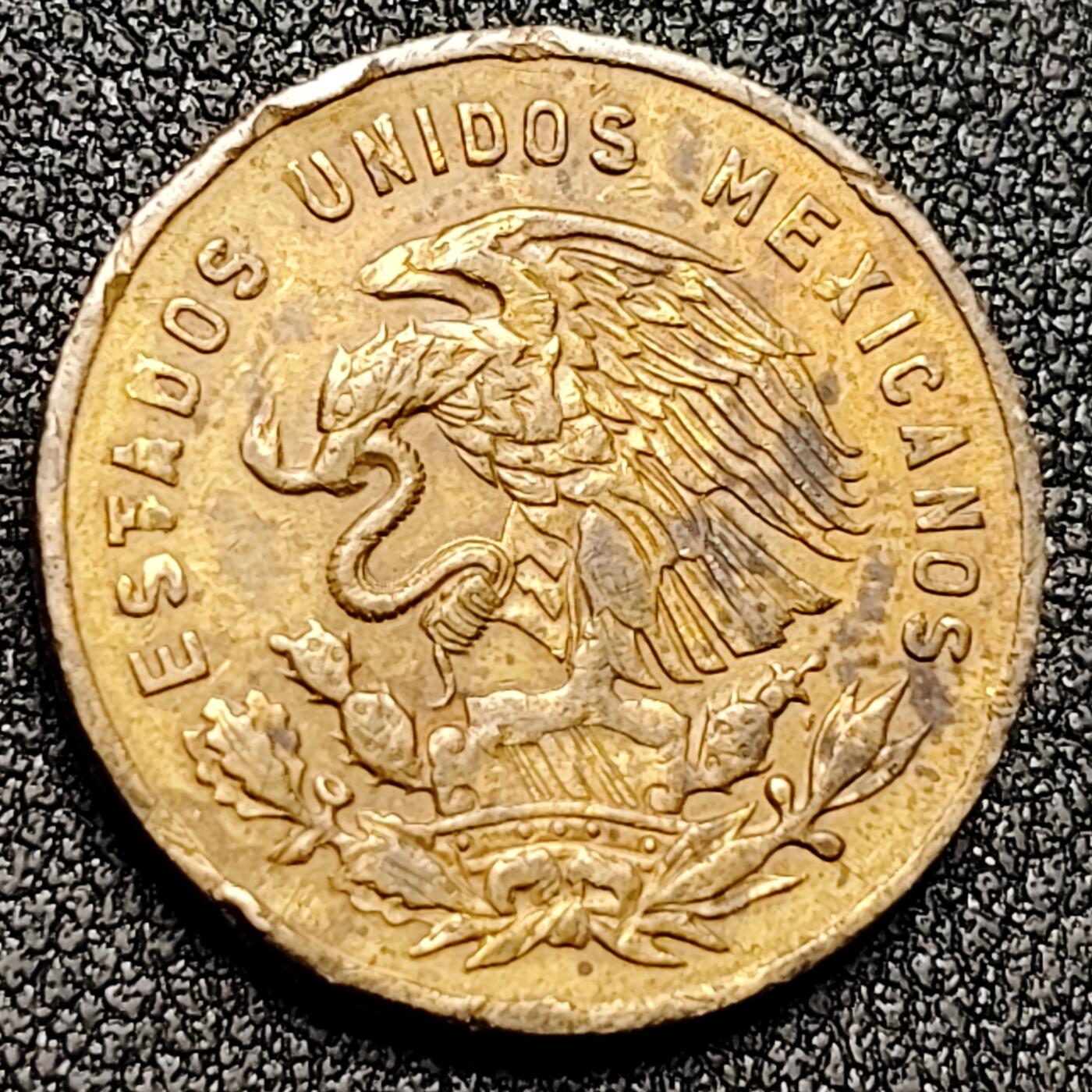 泉币菌-第134场-精品福利场 。