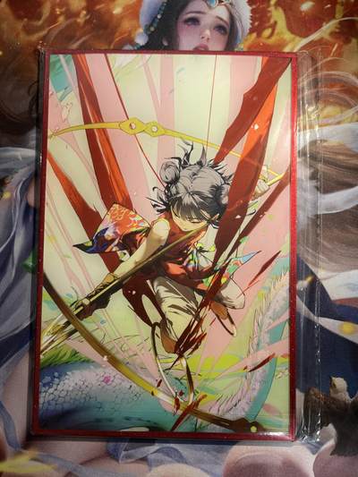 欢迎送拍、零成本上架，释放现金流，合理分配上拍卡品 - 【亚克力面色纸】闹海荟