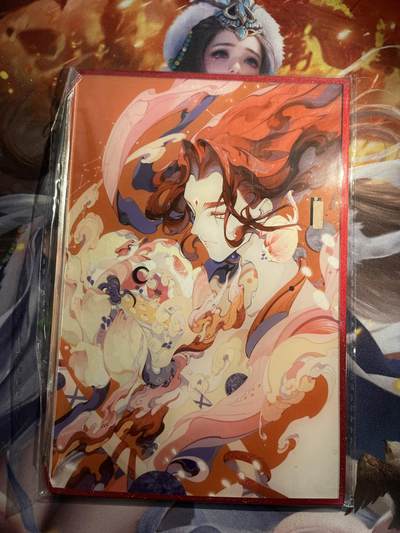 欢迎送拍、零成本上架，释放现金流，合理分配上拍卡品 - 【亚克力面色纸】闹海荟