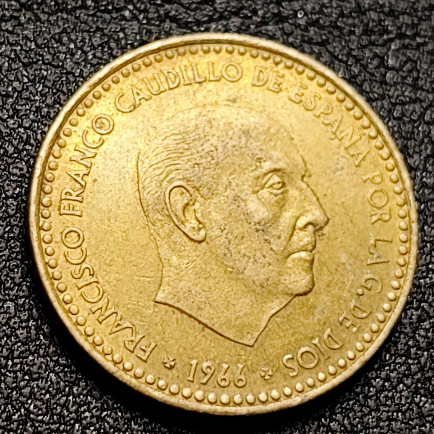 泉币菌-第135场-精品福利场 。