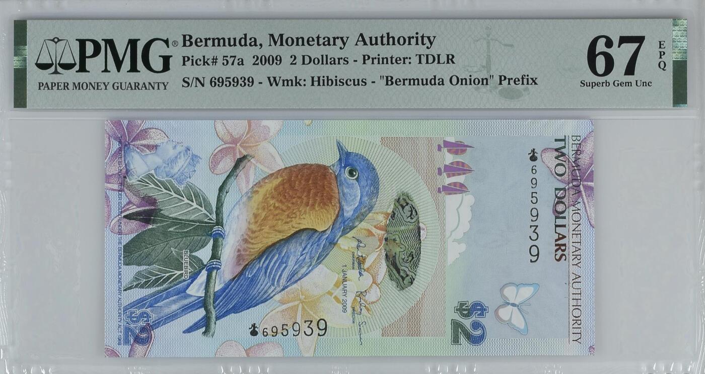 《艾美收藏》第221期-11.23周日黄金场精品荟萃