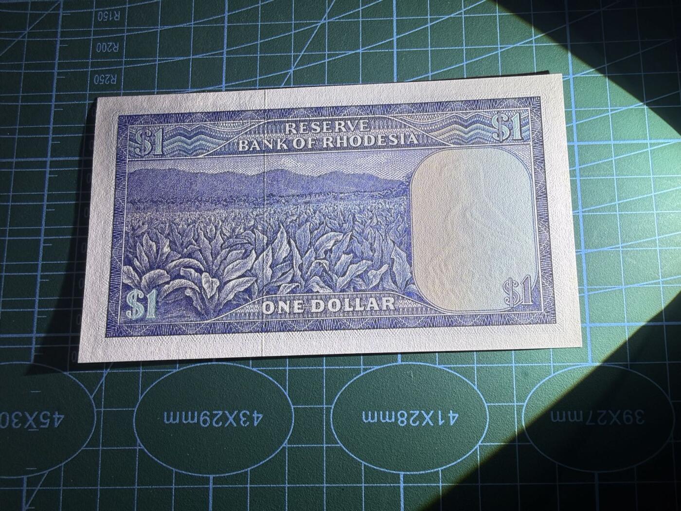 【炜奕收藏】，第五十一期 1979年罗德西亚1元，UNC品相