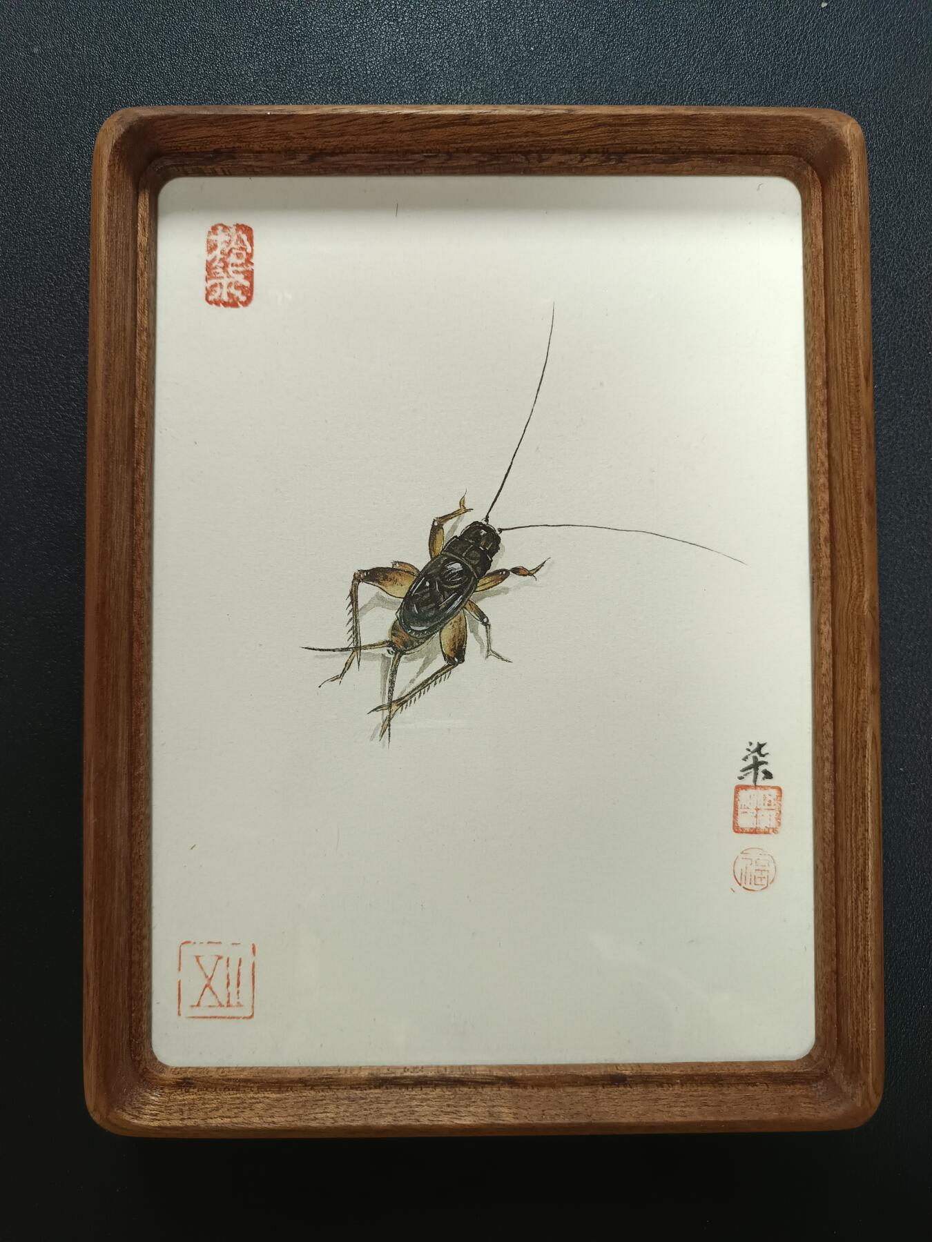 天玑星卡拍第141期《11.24周一截拍》持续收拍收评中 满赠卡需备注 【手绘画】蟋蟀 画师柒 手绘画带画框