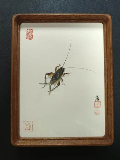 天玑星卡拍第141期《11.24周一截拍》持续收拍收评中 满赠卡需备注 - 【手绘画】蟋蟀 画师柒 手绘画带画框