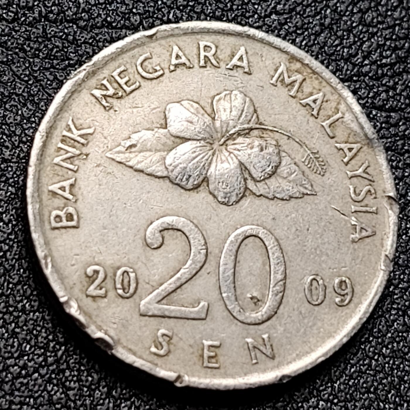 泉币菌-第135场-精品福利场 。