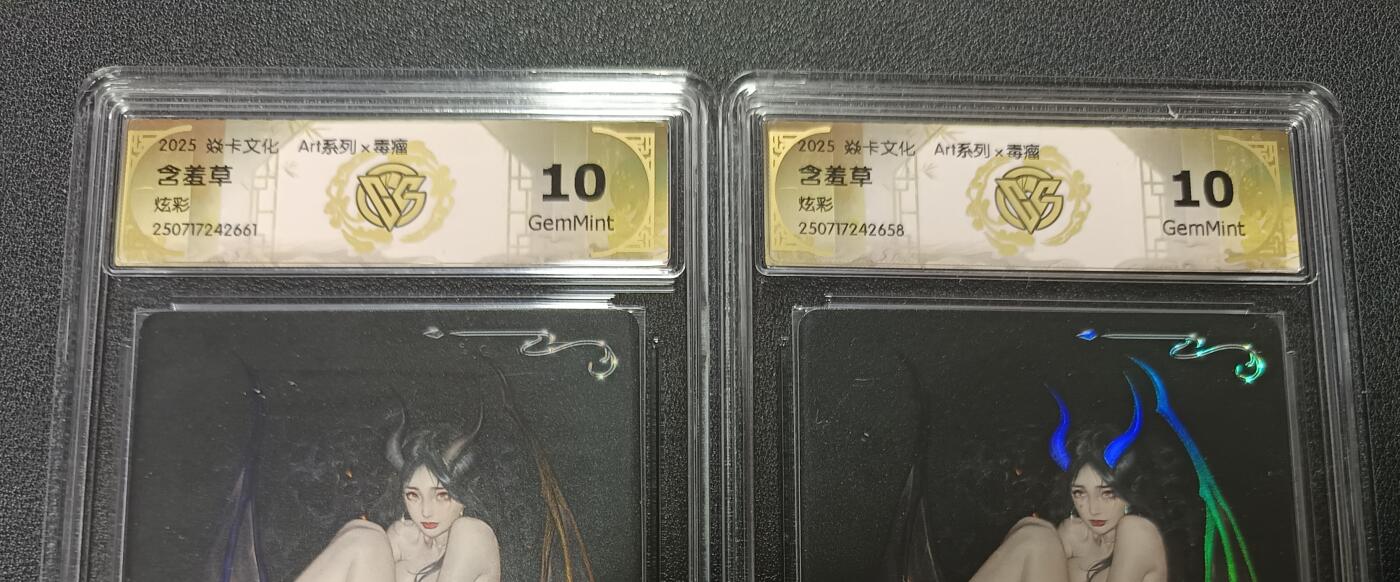 天玑星卡拍第141期《11.24周一截拍》持续收拍收评中 满赠卡需备注 焱卡文化 Art系列 x 毒瘤 含羞草 炫彩 CCG10