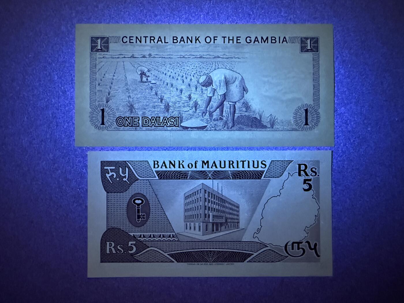 《艾美收藏》第221期-11.23周日黄金场精品荟萃