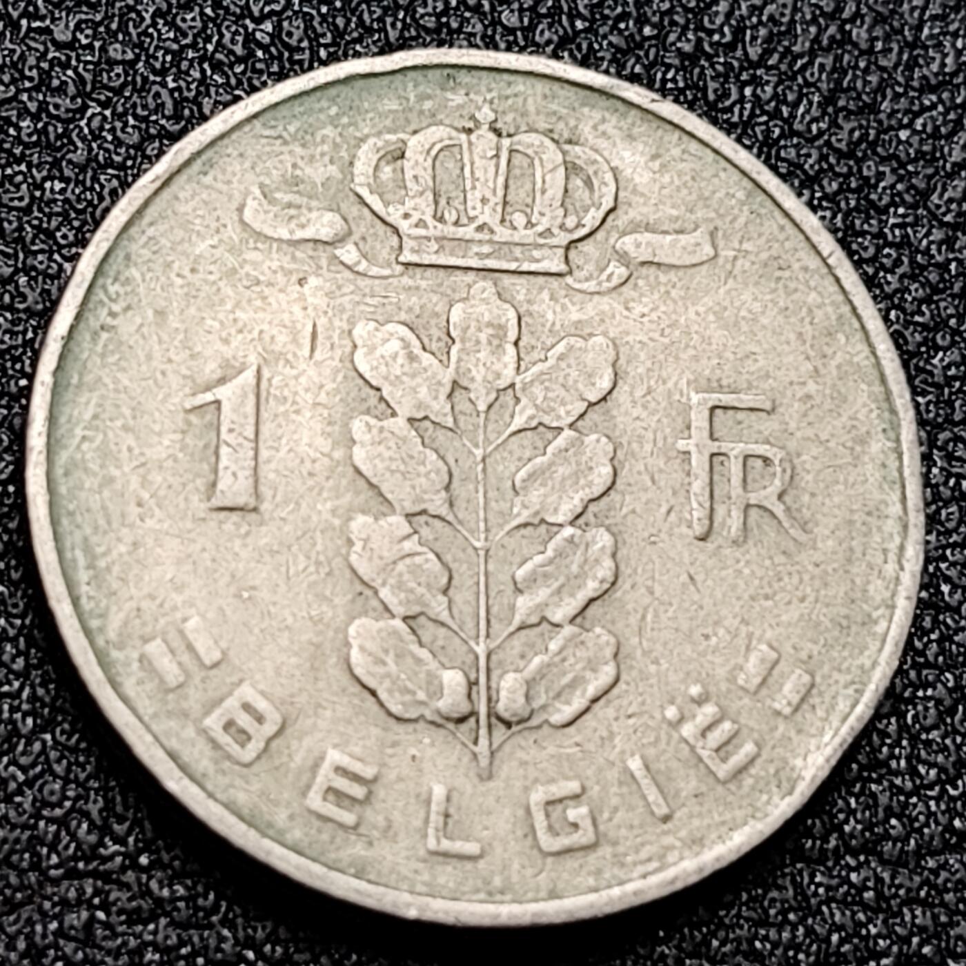 泉币菌-第135场-精品福利场 。