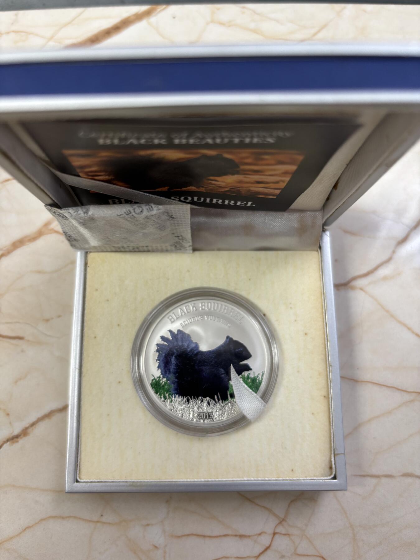 第182期拍卖 库克2013年珍稀动物黑松鼠彩色精制银币，925银，20克，发行999枚