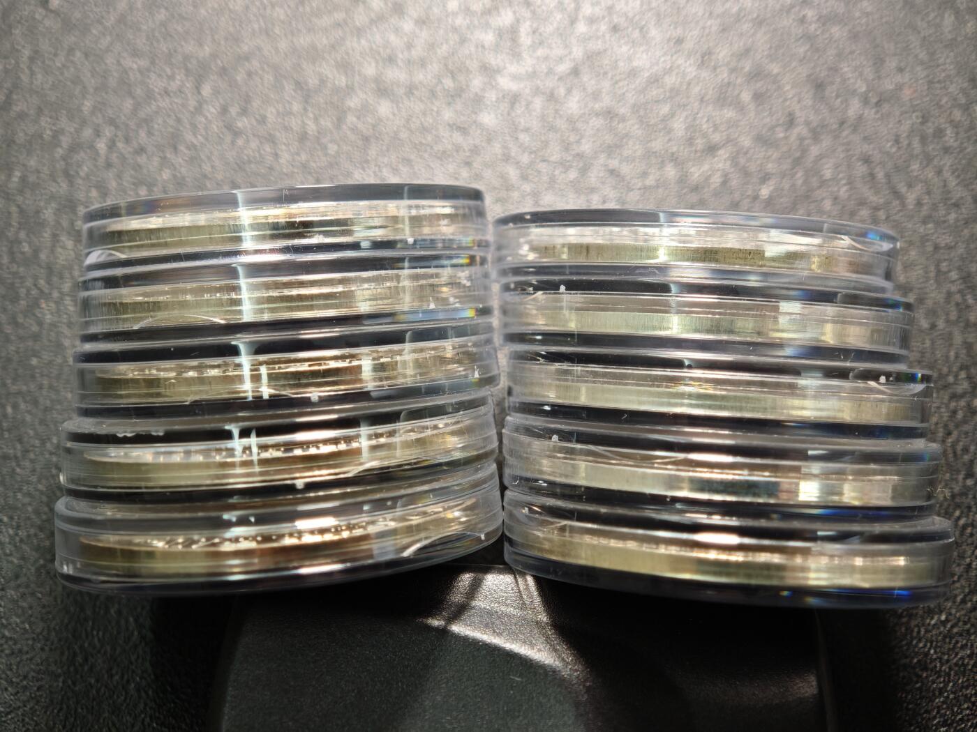 【德藏】世界币章拍卖第154期（拍品征集中~欢迎藏友联系） 10枚一册 德国童话故事彩绘纪念银章 原盒 原证书 （36mm/枚 333银/枚 14.66g/枚）设计极其精美