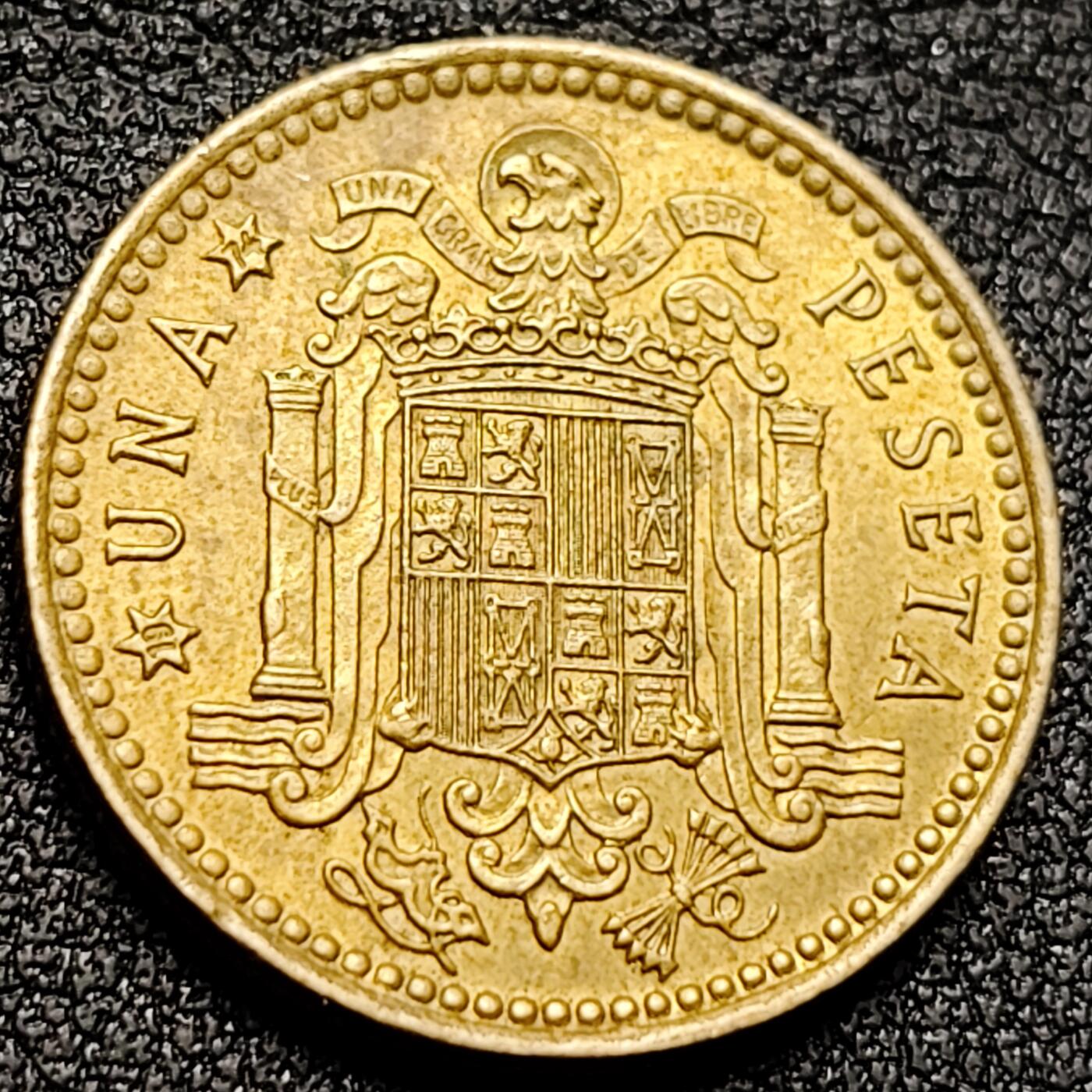 泉币菌-第135场-精品福利场 。