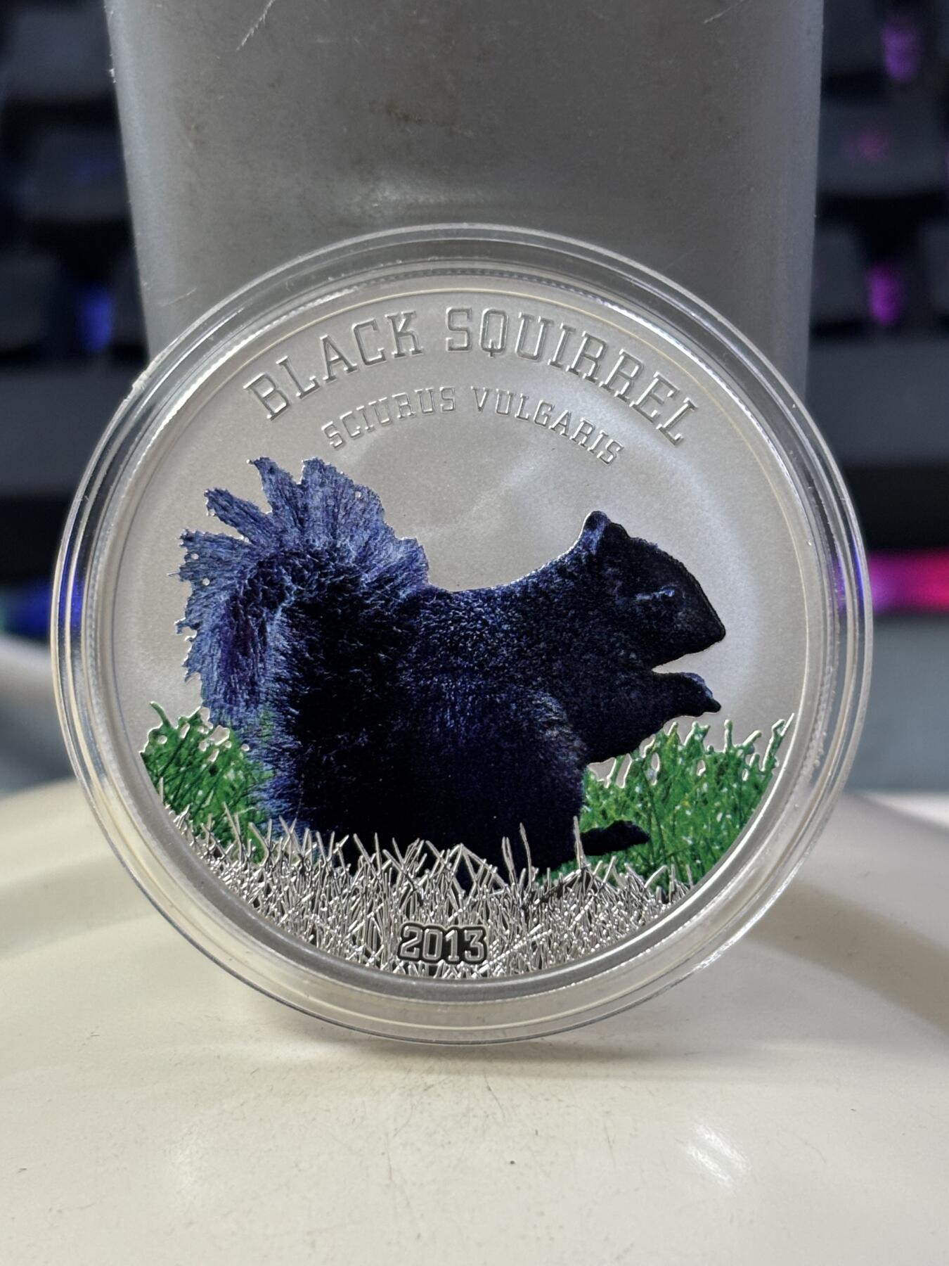 第182期拍卖 库克2013年珍稀动物黑松鼠彩色精制银币，925银，20克，发行999枚