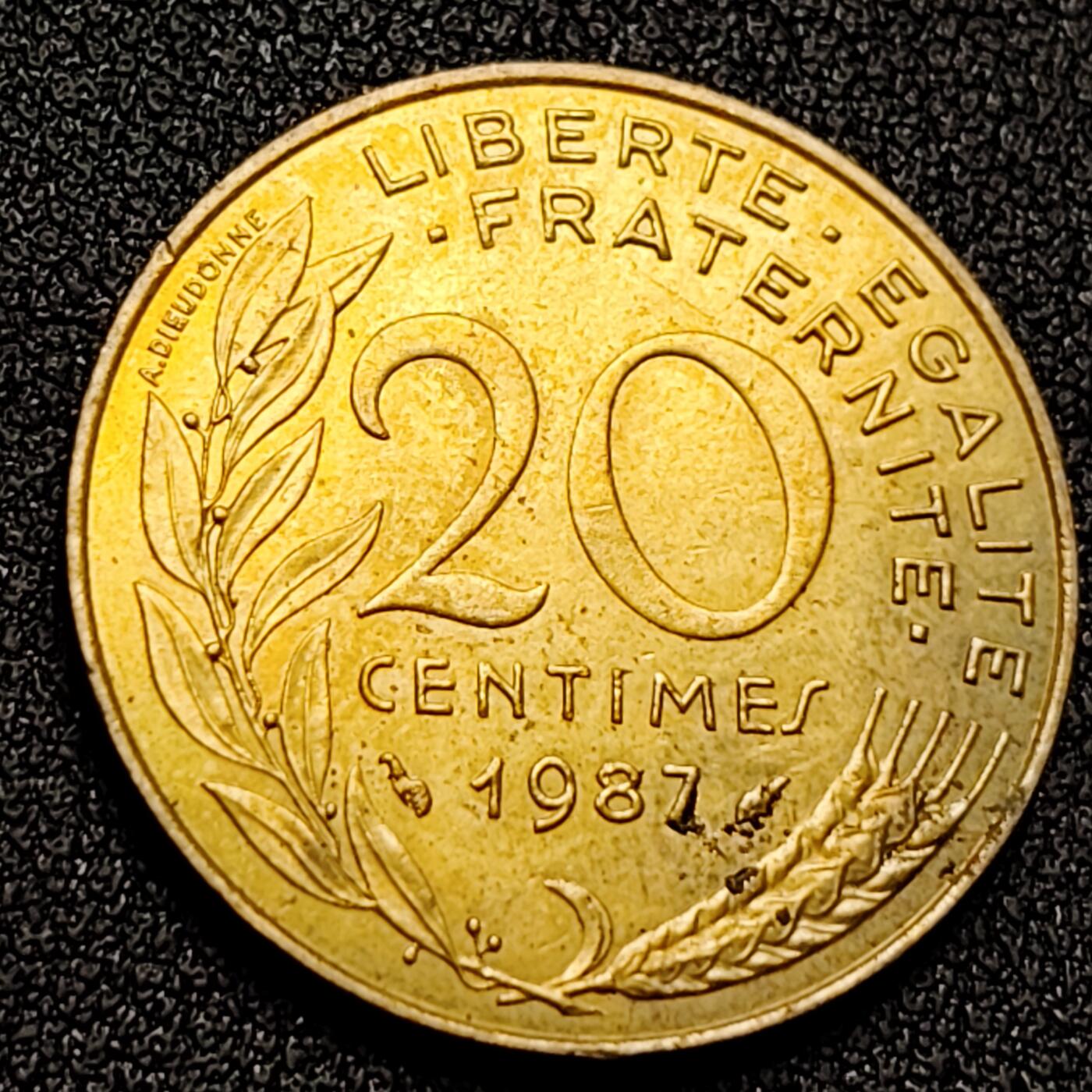 泉币菌-第135场-精品福利场 。